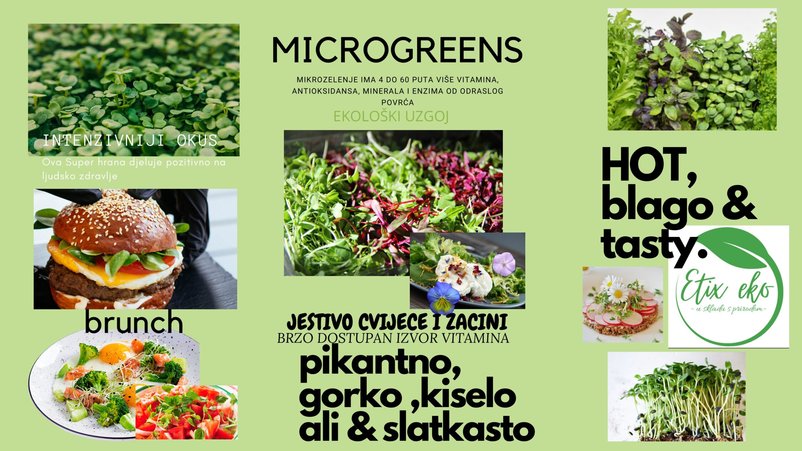 Microgreens1